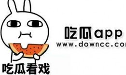 今日吃瓜是哪个app 明星黑料女,揭秘“吃瓜神器”APP爆料的明星黑料女生